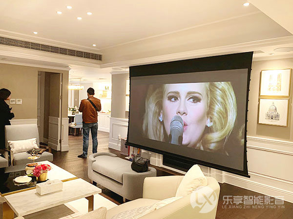 客廳影院系統(tǒng)11